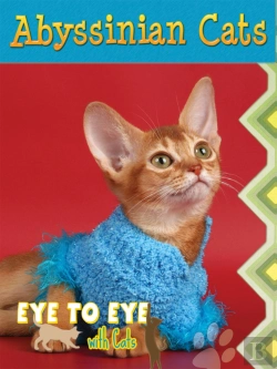 Bertrand.pt - Abyssinian Cats