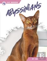 Abyssinians