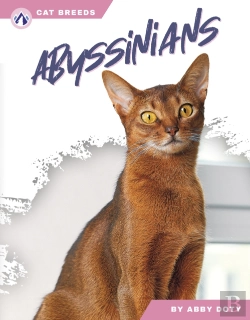 Bertrand.pt - Abyssinians