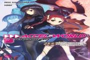 Accel World, Vol. 19 (Light Novel)