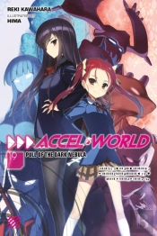 Accel World, Vol. 19 (Light Novel)
