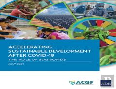 Accelerating Sustainable Development After Covid-19