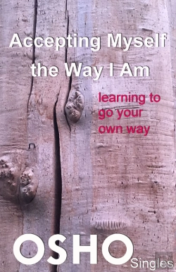 Bertrand.pt - Accepting Myself The Way I Am