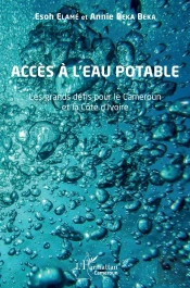 Accès À L'Eau Potable : Les Grands Défis Pour Le Cameroun Et La Côte D'Ivoire