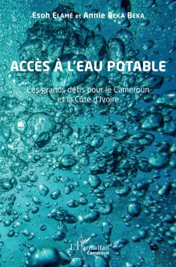 Bertrand.pt - Accès À L'Eau Potable : Les Grands Défis Pour Le Cameroun Et La Côte D'Ivoire