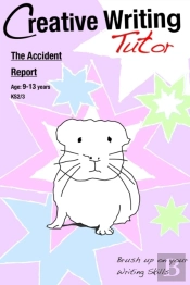 Accident Report