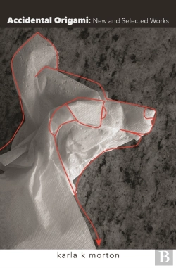 Bertrand.pt - Accidental Origami