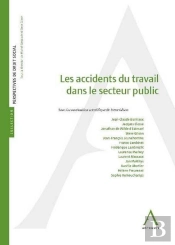 Accidents Du Travail Dans Le Secteur Public (Les)