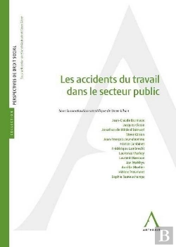 Bertrand.pt - Accidents Du Travail Dans Le Secteur Public (Les)