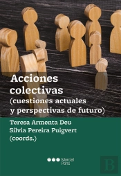 Acciones Colectivas