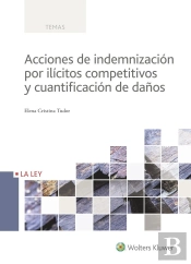 Acciones De Indemnización Por Ilícitos Competitivos Y Cuantificación De Daños