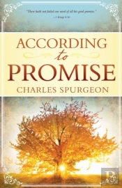 According To Promise