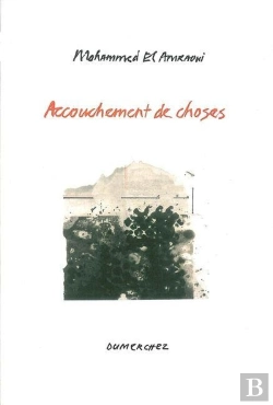 Bertrand.pt - Accouchement De Choses-