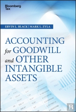Bertrand.pt - Accounting For Goodwill And Other Intangible Assets