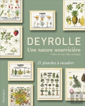 Accrochage : Au Bord De L'Eau