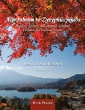 Acer Rubrum To Zyzyphus Jujuba: (Volume I) Essays And Dreams