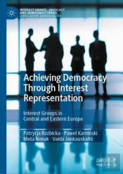Achieving Democracy Through Interest Representation