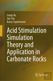 Acid Stimulation Simulation Theory And Application In Carbonate Rocks