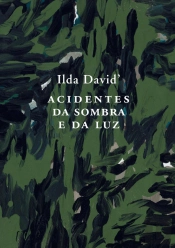 Acidentes da Sombra e da Luz