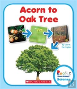 Bertrand.pt - Acorn To Oak Tree