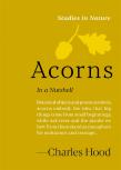 Acorns
