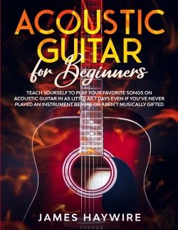 Bertrand.pt - Acoustic Guitar For Beginners