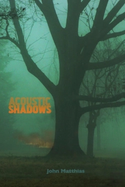 Bertrand.pt - Acoustic Shadows