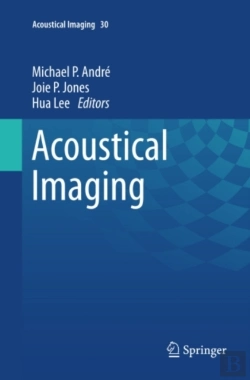 Bertrand.pt - Acoustical Imaging