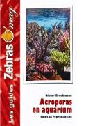 Acroporas En Aquarium