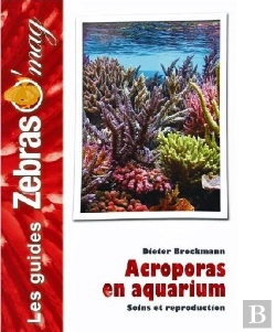 Bertrand.pt - Acroporas En Aquarium