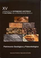 Actas De Las Xv Jornadas De Patrimonio Historico Y Cultural De La Provincia De S