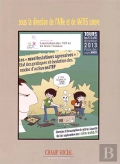 Actes Des Journées De L'Aire ; Les « Manifestations Agressives » : État Des Pratiques Et Évolution Des Modes D'Action En Itep