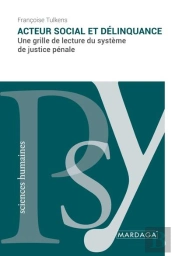 Acteur Social Et Délinquance : Une Grille De Lecture Du Système De Justice Pénale