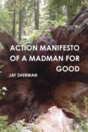 Action Manifesto Of A Madman For Good