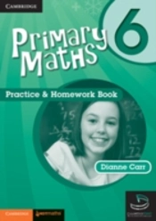 Active Maths Practice And Homework Book 6