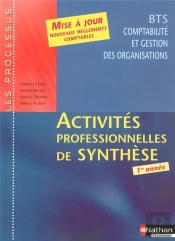 Activites Professionnelles De Synthese Bts 1ere Annee Comptabilité, Gestion Des Organisations