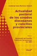 Actualidad Pastoral De Los Sínodos Diocesanos Y Concilios Provinciales