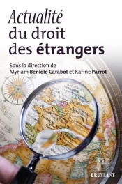 Actualite Du Droit Des Etrangers