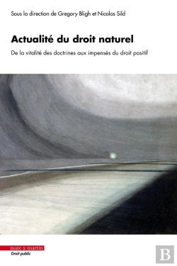 Bertrand.pt - Actualite Du Droit Naturel - De La Vitalite Des Doctrines Aux Impenses Du Droit