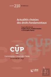 Actualités Choisies Des Droits Fondamentaux : Tome 210 (1re Édition)