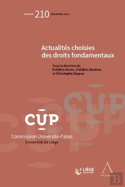 Bertrand.pt - Actualités Choisies Des Droits Fondamentaux : Tome 210 (1re Édition)