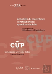 Actualités Du Contentieux Constitutionnel : Questions Choisies