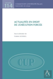 Actualités En Droit De L'Exécution Forcée