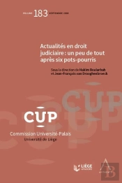 Actualités En Droit Judiciaire : Un Peu De Tout Après Six Pots-Pourris