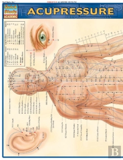 Bertrand.pt - Acupressure