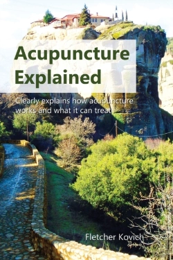 Bertrand.pt - Acupuncture Explained