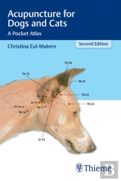 Acupuncture For Dogs And Cats