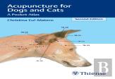 Acupuncture For Dogs And Cats