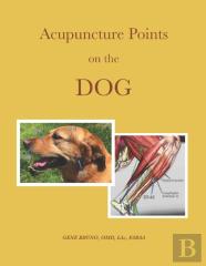 Acupuncture Points On The Dog
