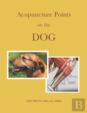 Acupuncture Points On The Dog